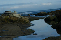 Fishing Filey 080304