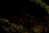 DK-41_200408 Unedited